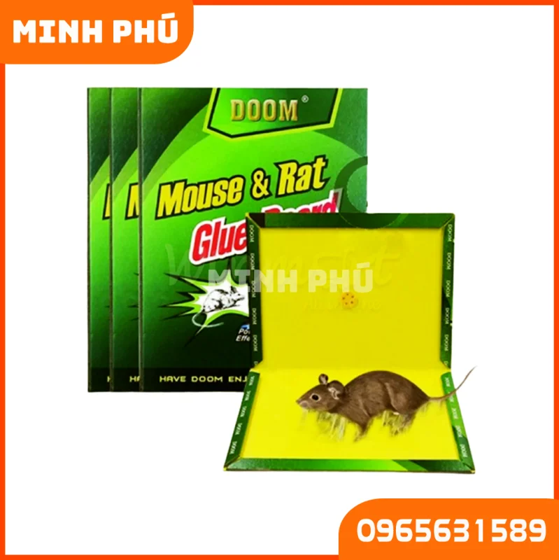Keo dính chuột